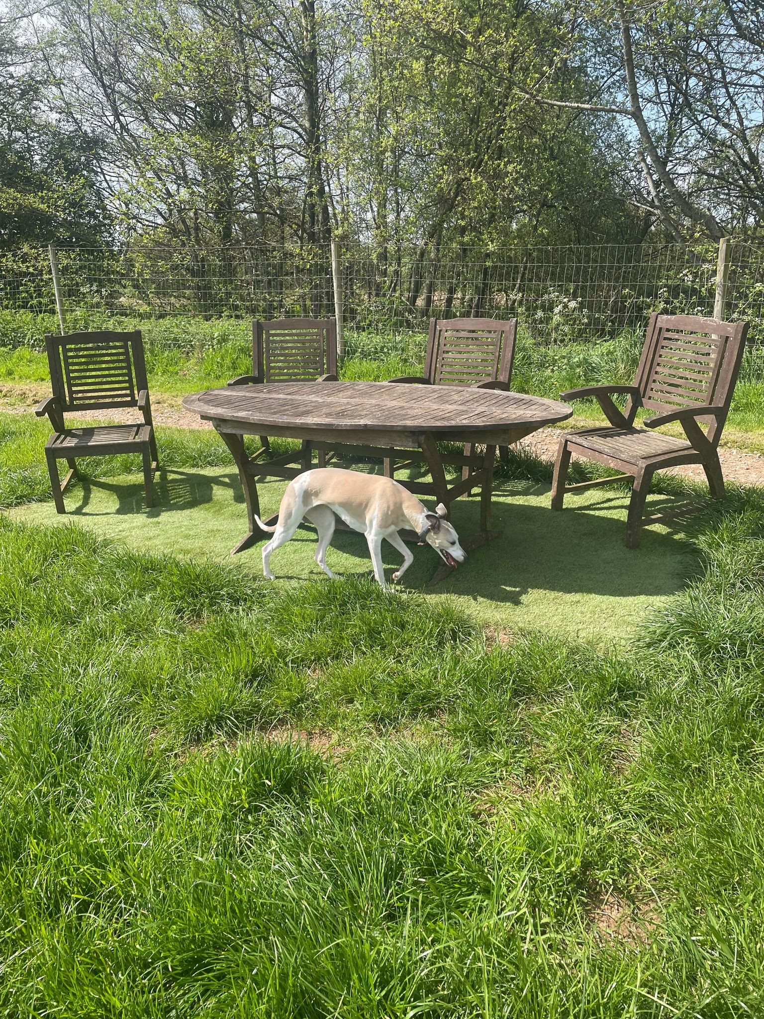 Picnic bench