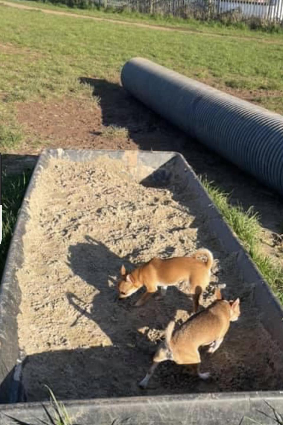 The Sand Pit
