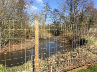 The stream behind the fence