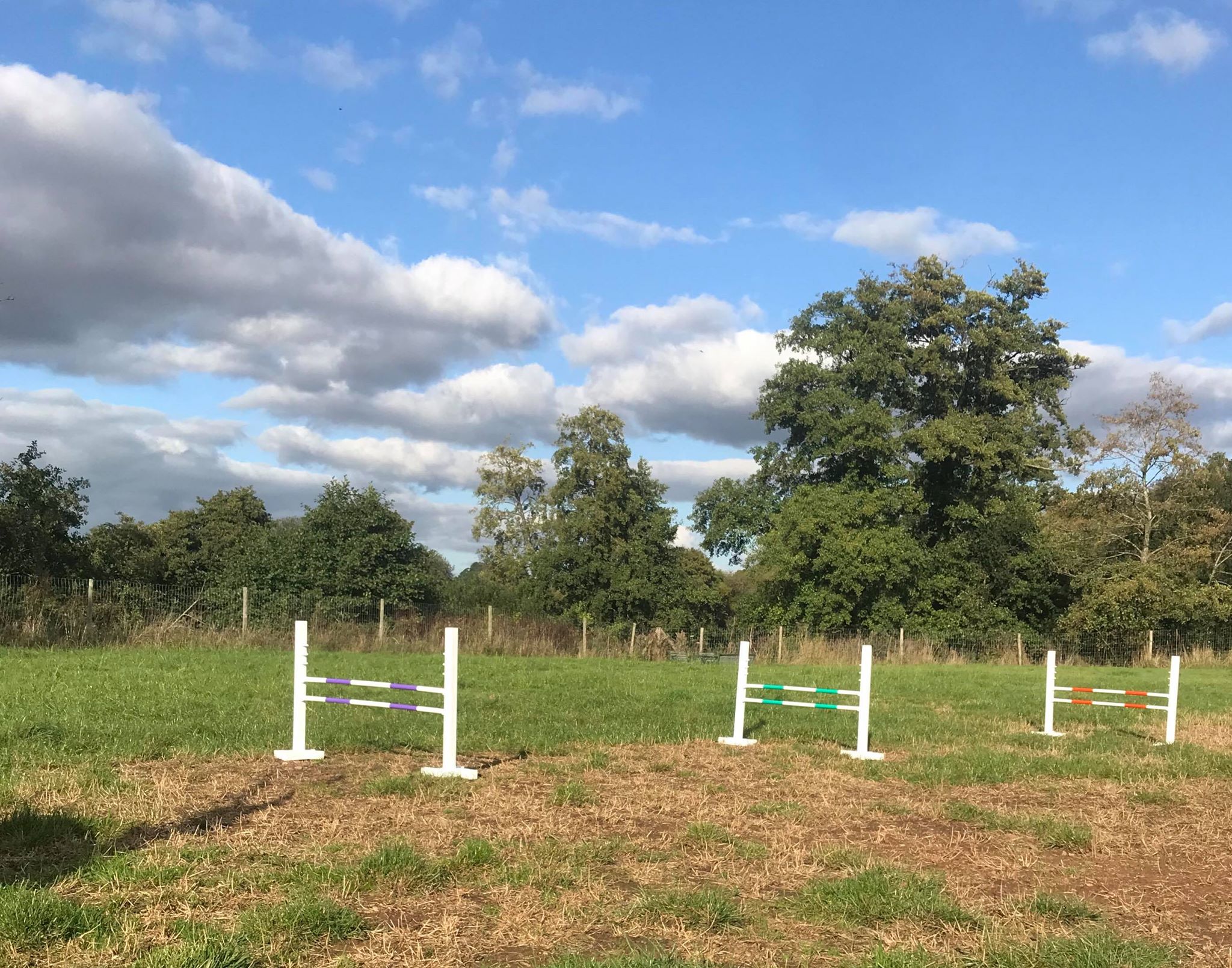 Agility Training Hurdles 